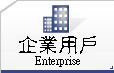 Enterprise